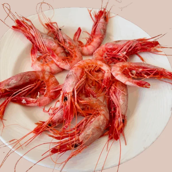 Gamba de Calp